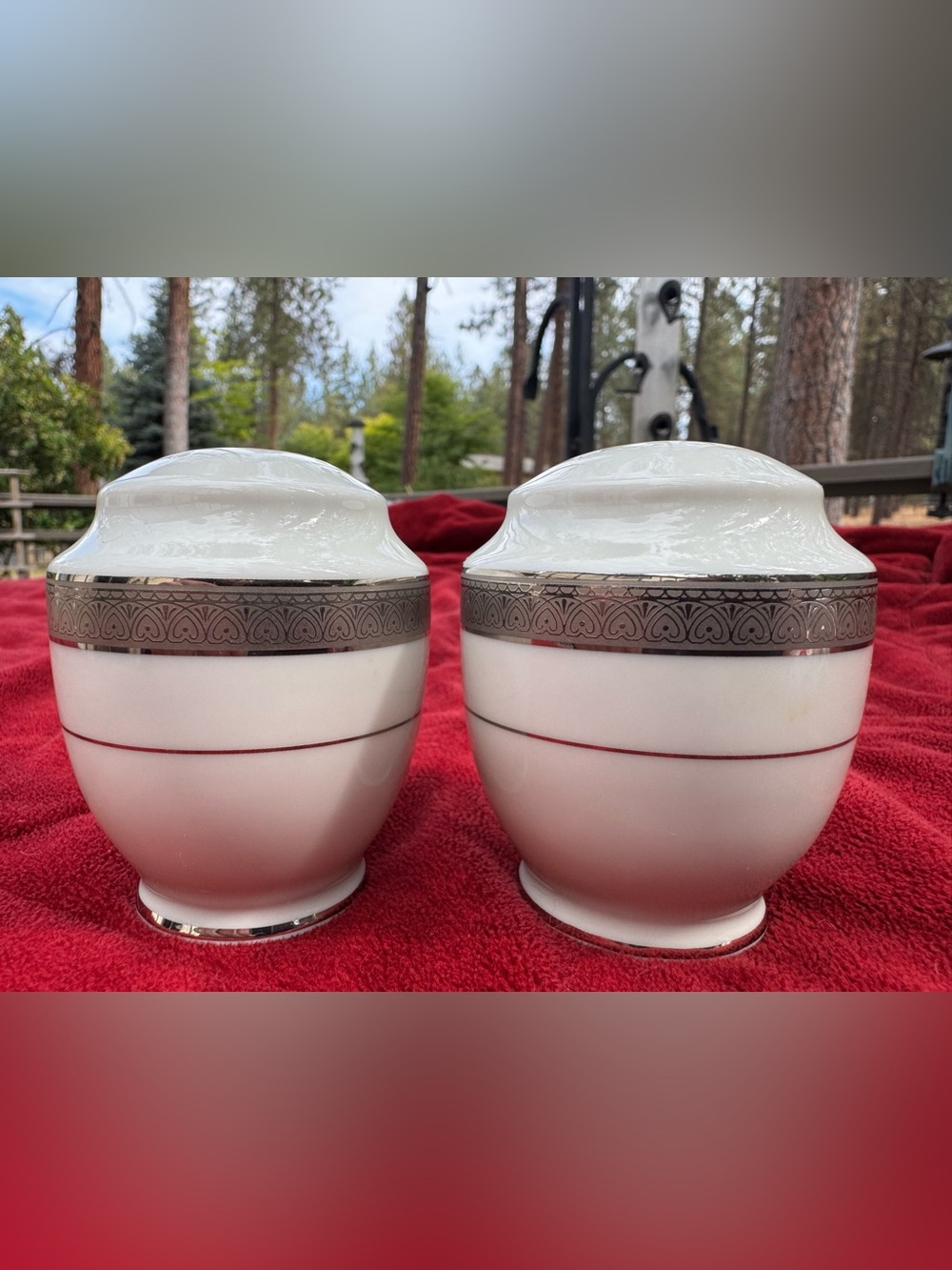 Mikasa Palatial Platinum salt and pepper shakers